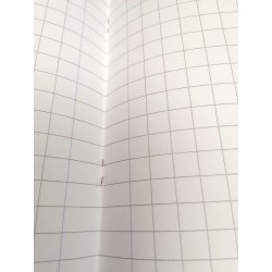 QUADERNO QUADRETTI 10mm con margine (rig.10F)