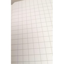 QUADERNO QUADRETTI 10mm con margine (rig.10F)