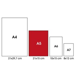 RICAMBIO RINFORZATO A5 QUADRETTI 5mm con margine (rig.Q)