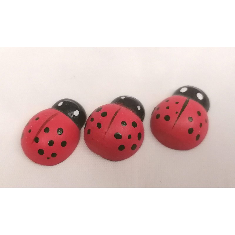 CHIUDIPACCO COCCINELLA LEGNO