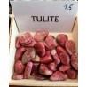 TULITE (burattato)