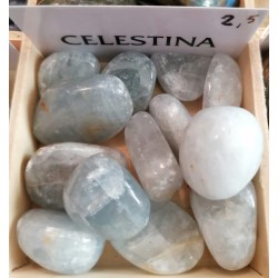 CELESTINA (burattato)